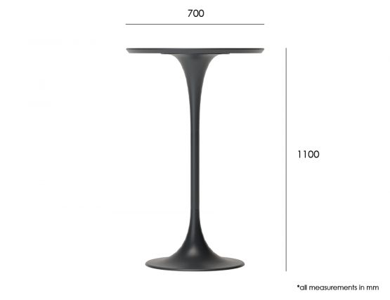 Minori High Bar Measurements